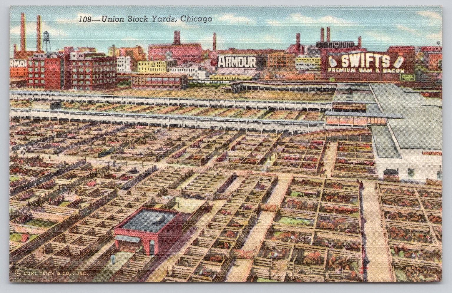 Chicago Union Stock Yards Vintage Linen Postcard Armour Swift Factories