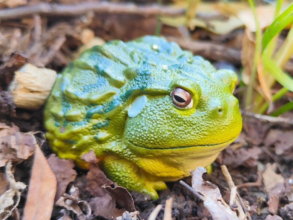 【In-Stock】 Animal Heavenly Body African Bullfrog Frog Collectible Statue