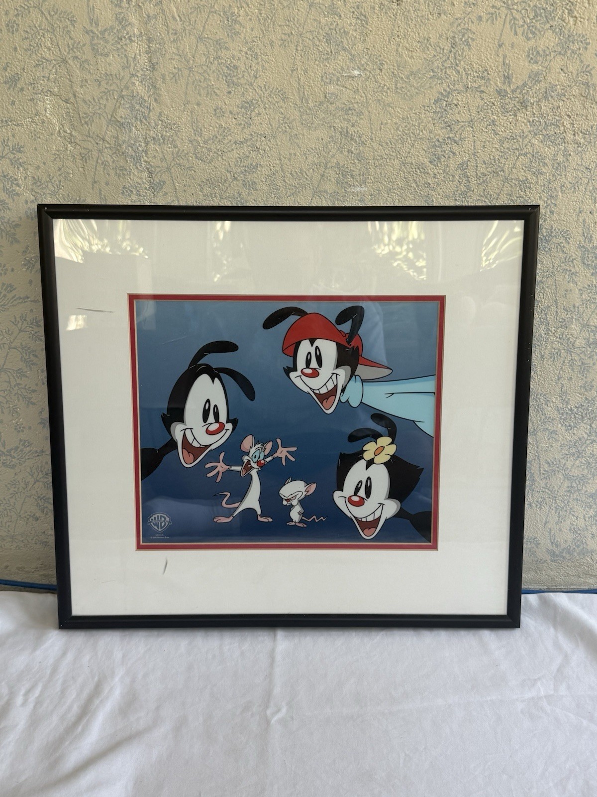 VTG 1995 Animaniacs Pinky Brain Sericel Animation Art LE 2500 COA Framed 