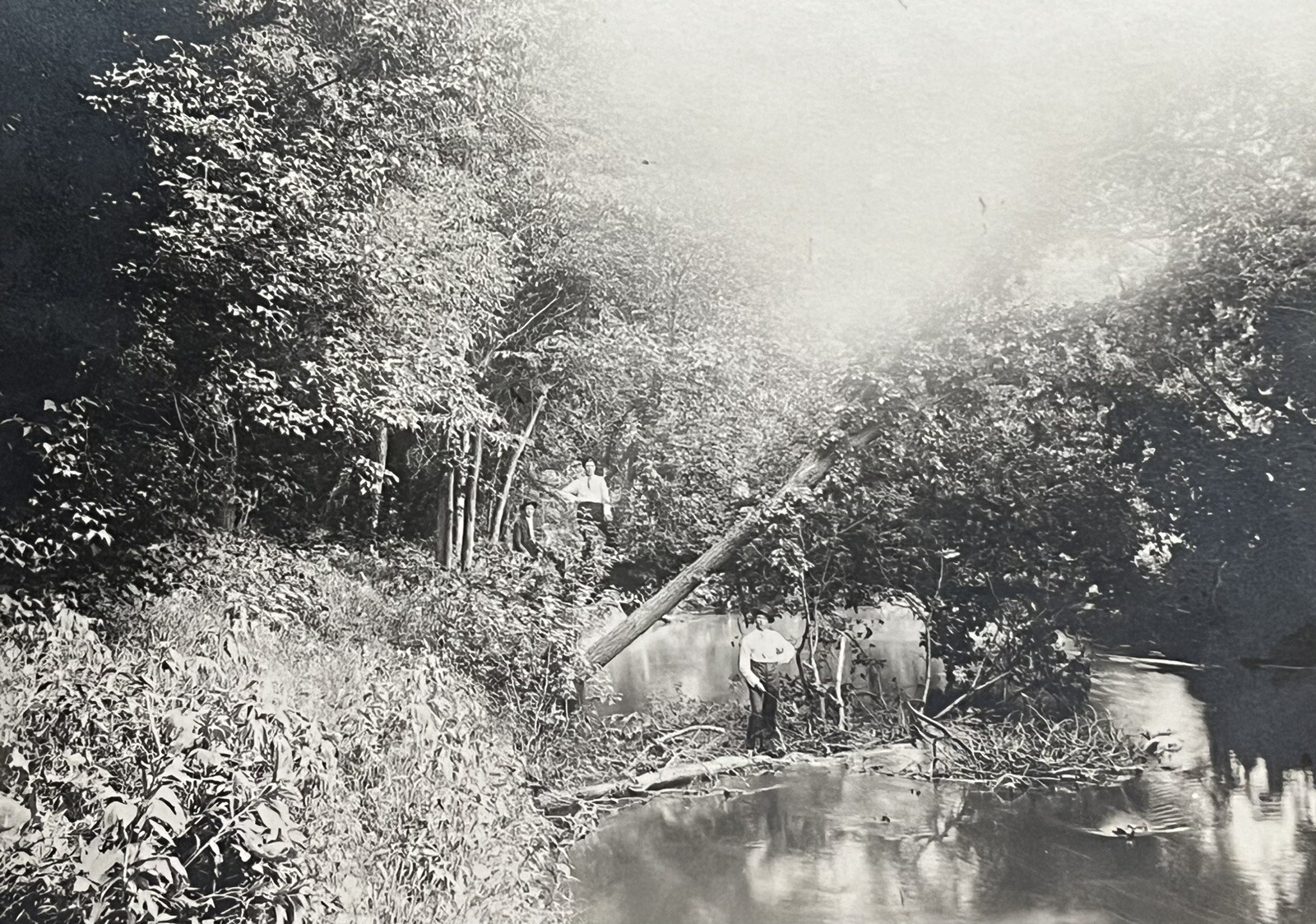 1908 Goose River Scene, Hillsboro, Traill Co, ND Posted Real Photo Postcard RPPC