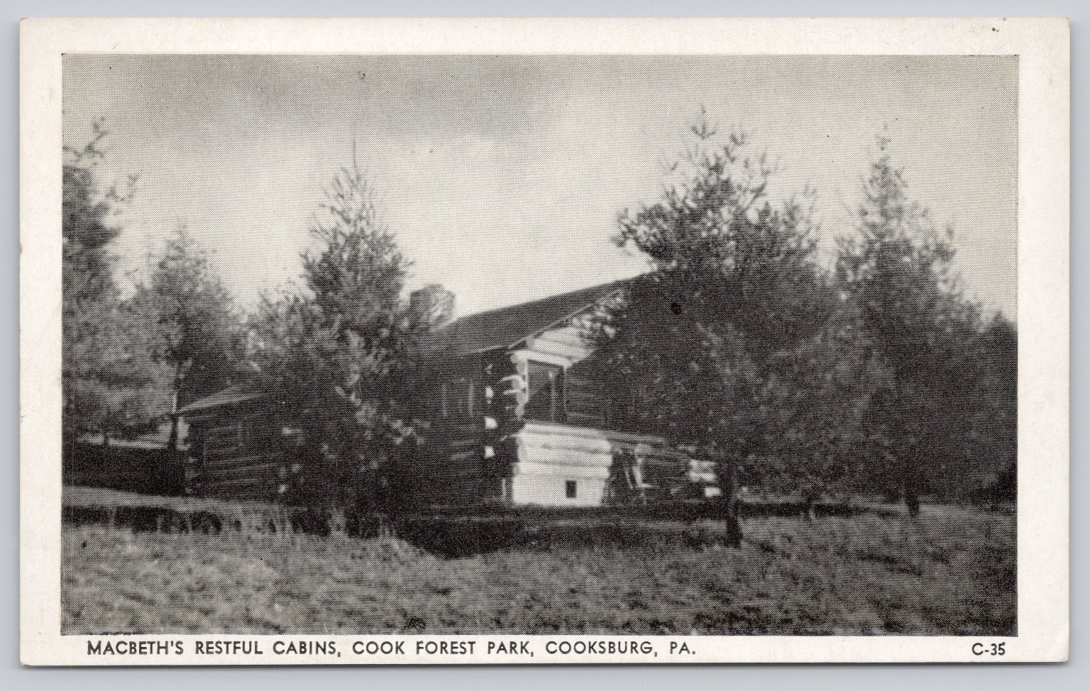 Vintage Macbeth\'s Restful Cabins Cook Forest Park PA Photo Postcard
