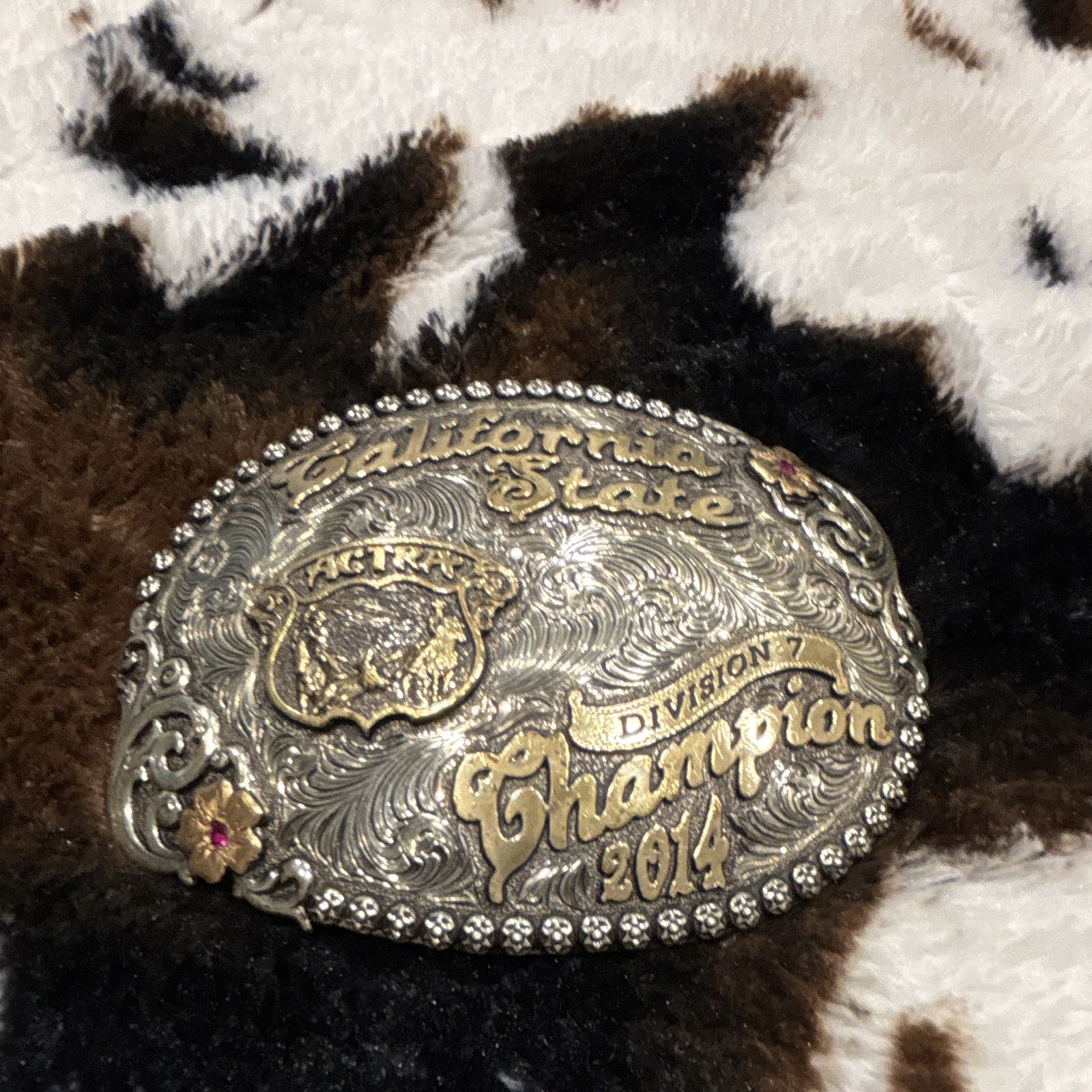 California State ACTRA Division 7 Champion Team Roper 2014 from Vaquero