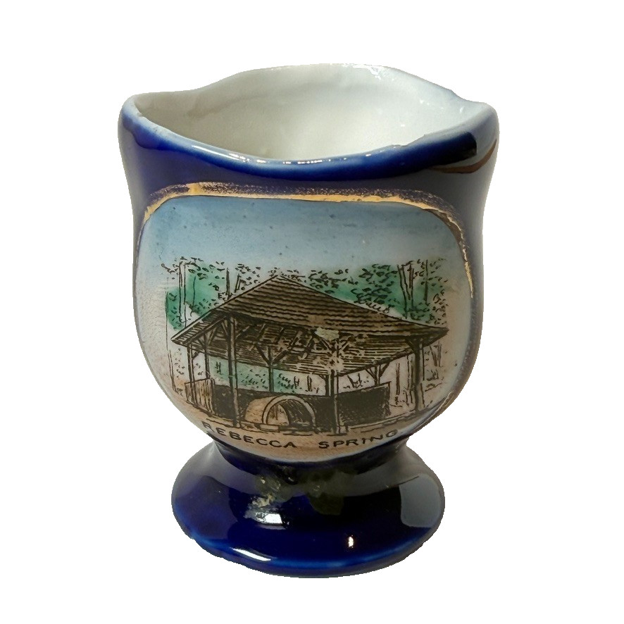 EDGEWOOD PARK REBECCA SPRING Pennsylvania PA  Antique Souvenir China TRINKET 