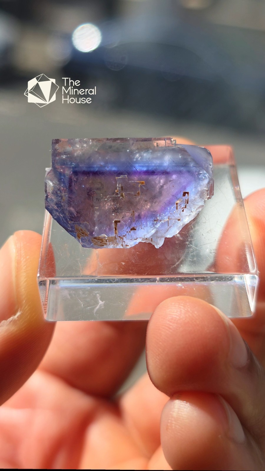 FLUORITE (Tri Colour) - La Barre Mine, Puy-de-Dôme, France